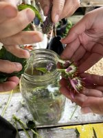 Soil to Soul Herbal Tea Infusions in the Summer Garden with Ashley Sapir Lathrop