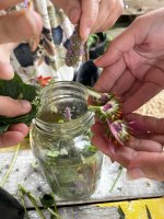 Soil to Soul: Connecting to Our Ancestral Wisdom with Herbal Medicine with Ashley Sapir Lathrop