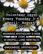 SOIL TO SOUL is excited to support our partner Kat of Moonrise Apothecary