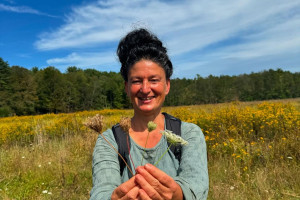 Photo for Summer Foraging for Edible & Medicinal Plants in Kingston, NY with Dina Falconi