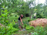 SOIL TO SOUL: Create your own Forest Garden with Erik Schellenberg
