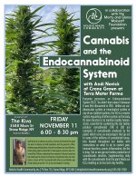 Cannabis and the Endocannabinoid System