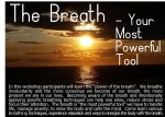 The Breath – Your Most Powerful Tool with Nancy Plumer