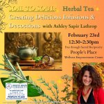 SOIL TO SOUL: Herbal Tea- Creating Delicious Infusions & Decoctions with Ashley Sapir Lathrop