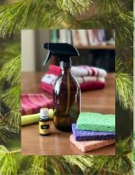 SOIL TO SOUL: Natural Home Cleaning Products with Holly Shelowitz
