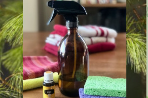 Photo for SOIL TO SOUL: Natural Home Cleaning Products with Holly Shelowitz