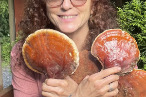Photo for Medicinal and Culinary Mushrooms: A Talk with Yael Bernhard
