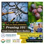 SOIL TO SOUL:  Pruning 101 - Caring for Fruit Trees and Berry Bushes with Erik Schellenberg
