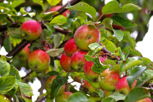 Photo for Sep 16 In Person Holistic Healthcare Day