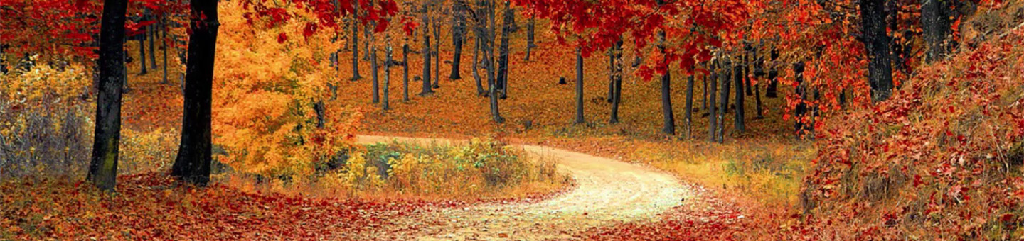 header photo
