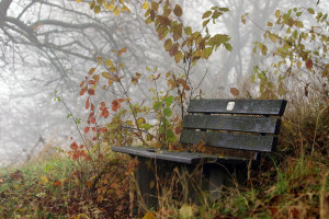 Photo for Oct 21 In Person Holistic Healthcare Day