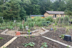 Photo for Planning Your Garden