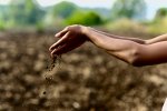 Feeding the Earth-Body: Fermentation and Soil Regeneration