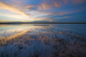Photo for July 15 In Person Holistic Healthcare Day